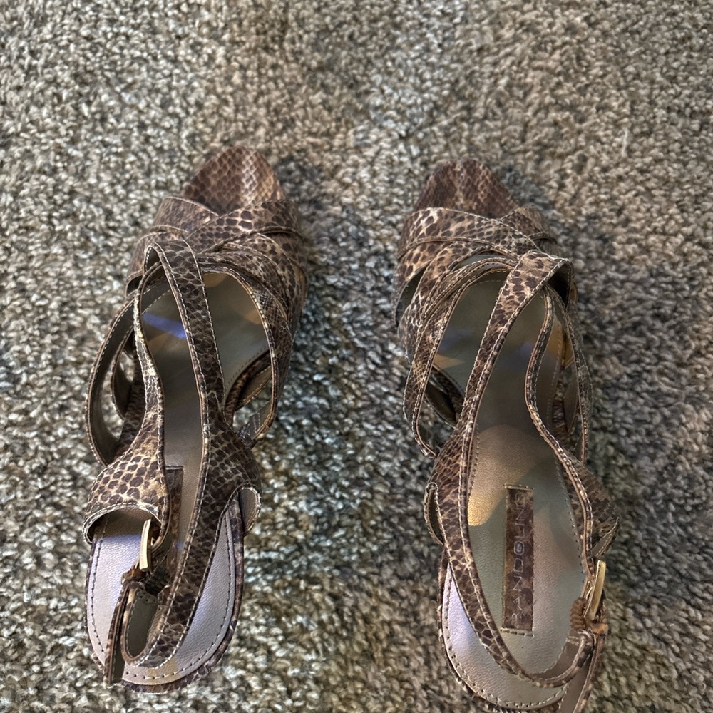 Elegant Brown Snake Print Heels